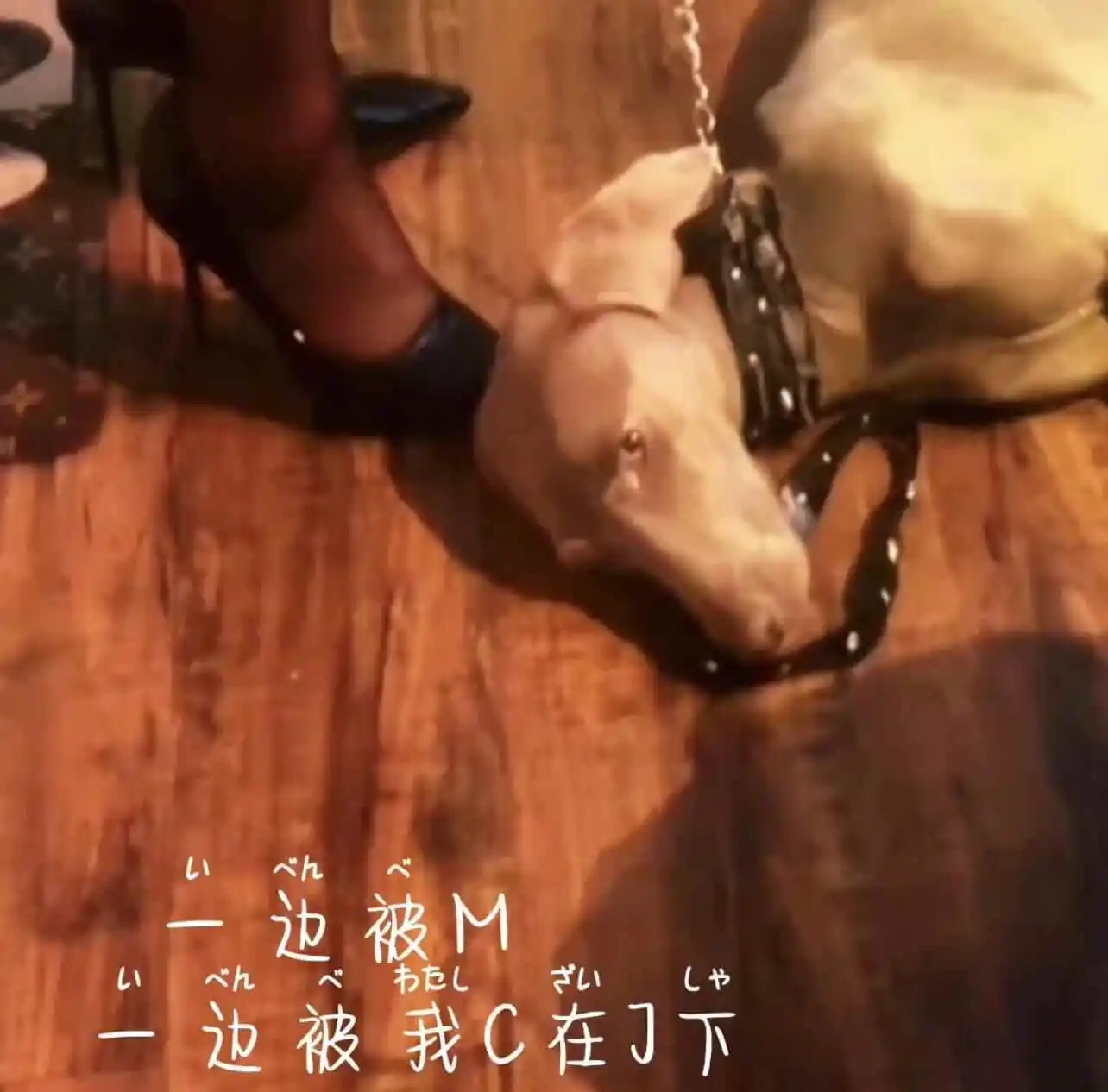 西檬之家-字母圈新人如何了解践行地踼癖？