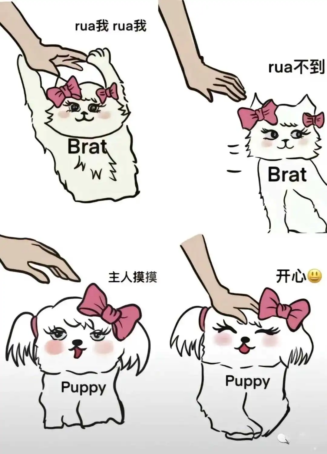 西檬之家-新人入圈指南：BDSM基础知识与术语解析