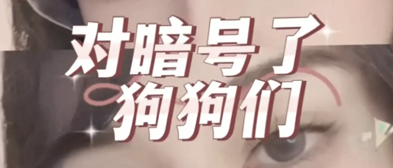 西檬之家-新人入圈指南：正确理解BDSM核心术语