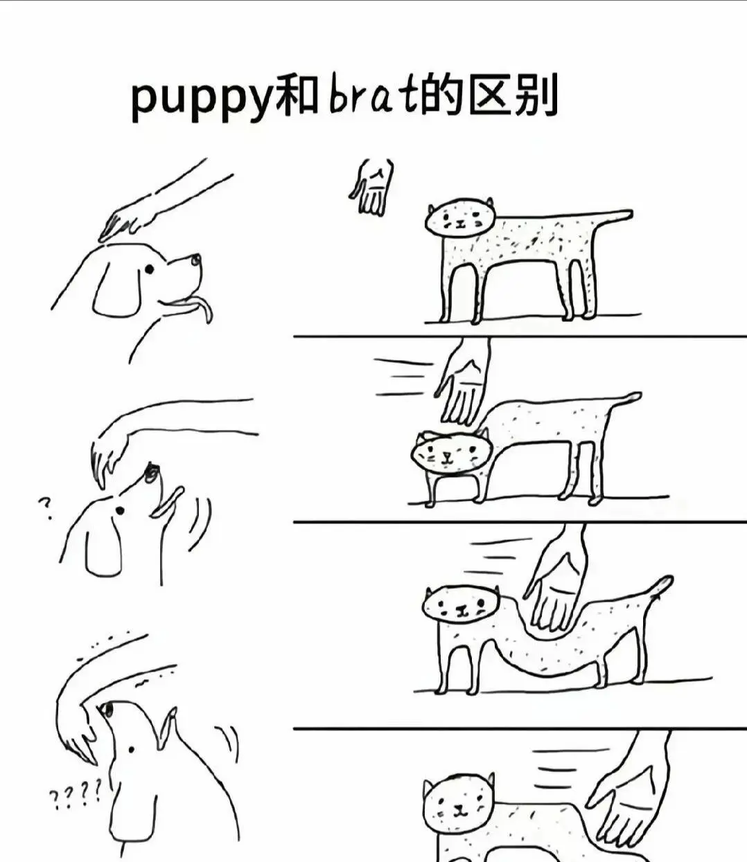 西檬之家-字母圈的践踏癖是什么？从基础到实践指南