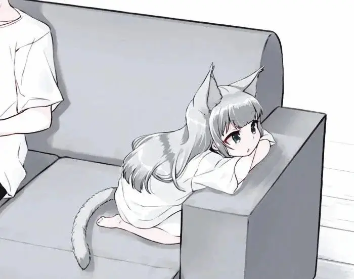 西檬之家-k8猫系探索