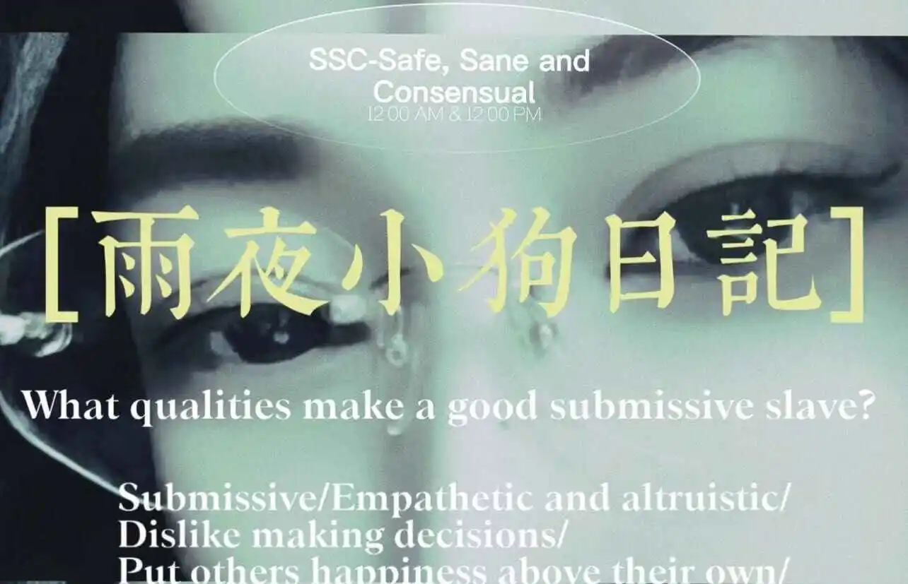 西檬之家-K8是什么？探索字母圈猫系角色的魅力与界限
