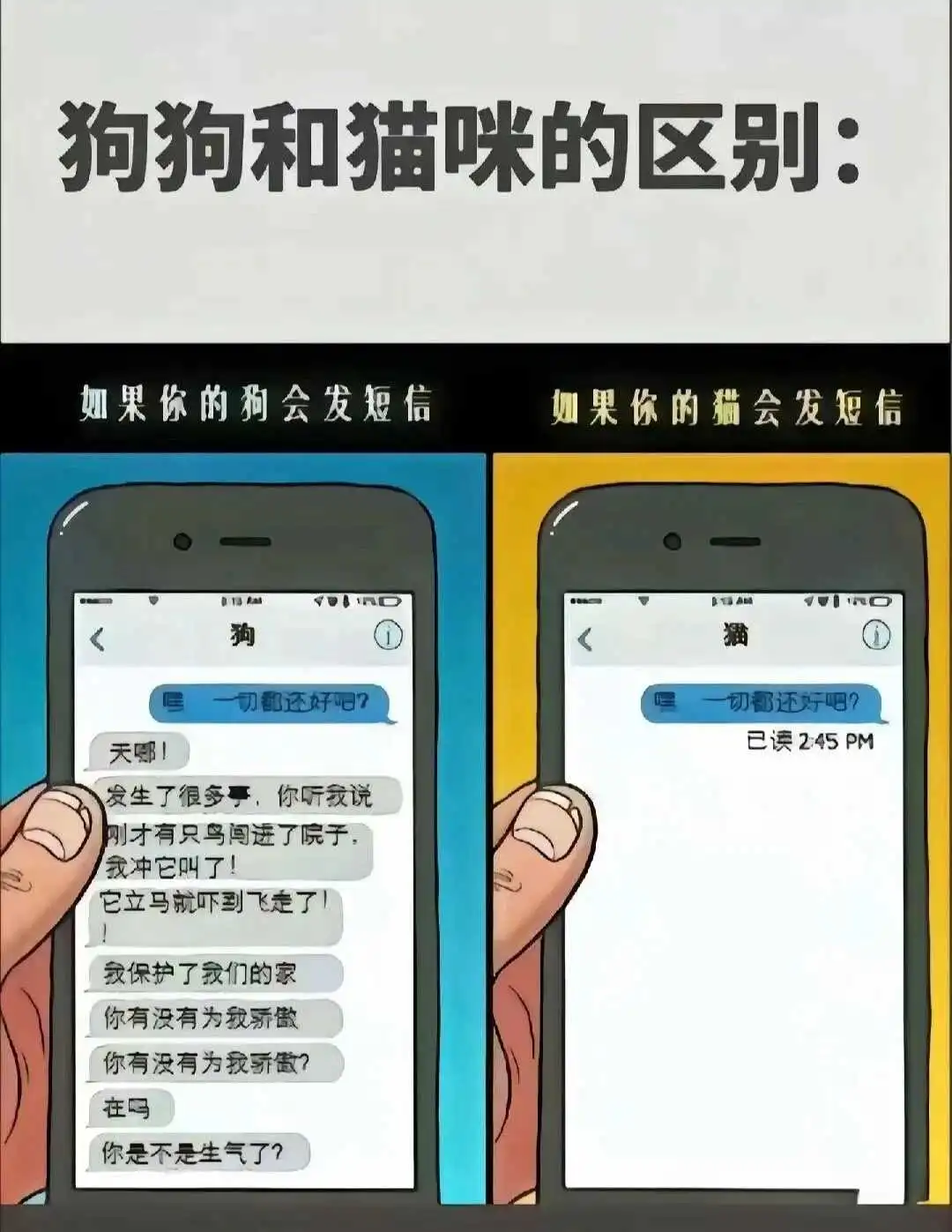 西檬之家-BDSM初学者指南：掌握基本概念与安全原则
