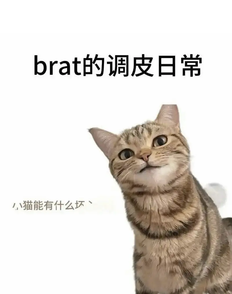 【西檬之家】字母圈新人入圈指南：从BDSM基础知识到角色认知