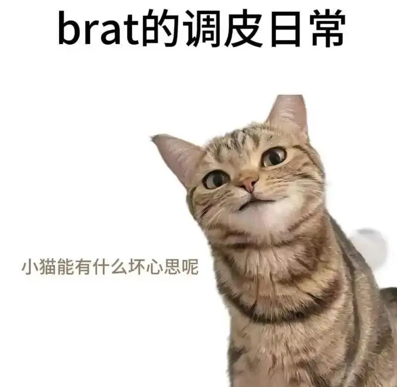 西檬之家-DDLG是什么？字母圈新人入圈的权威指南