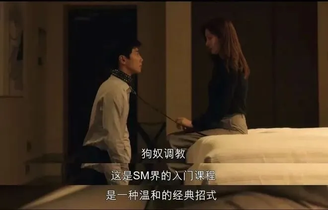 【西檬之家】Sub是什么？字母圈新人入圈指南